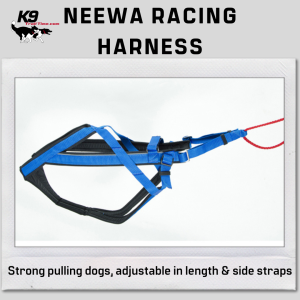 Neewa Adjustable Racing Harness