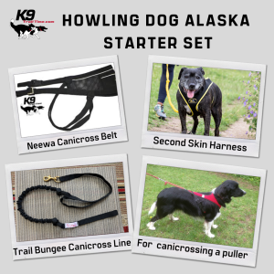Howling Dog Alaska – Canicross Starter Set