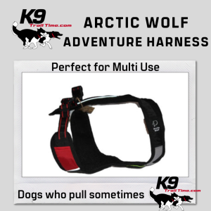 Arctic Wolf Adventure Harness