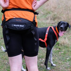 Canicross Running & Walking Belts