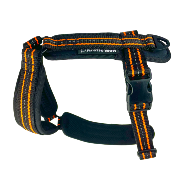 Canicross Harnesses K9 Trail Time Leading Canine Equipment Provider