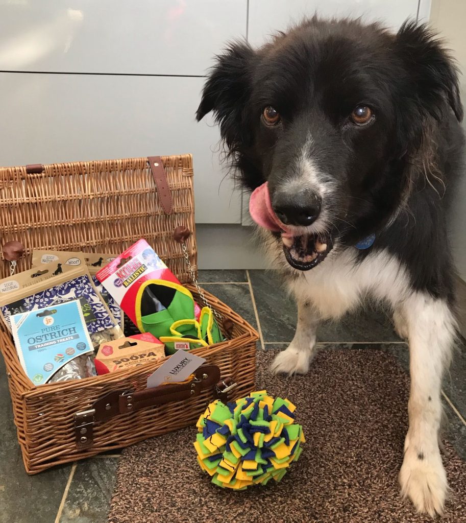 Dog licking lips with a selection of enrichment toys and treats