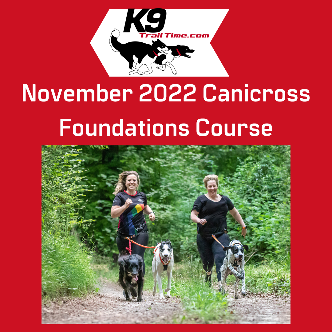 Canicross Foundations Course (Starts November 7th 2022)