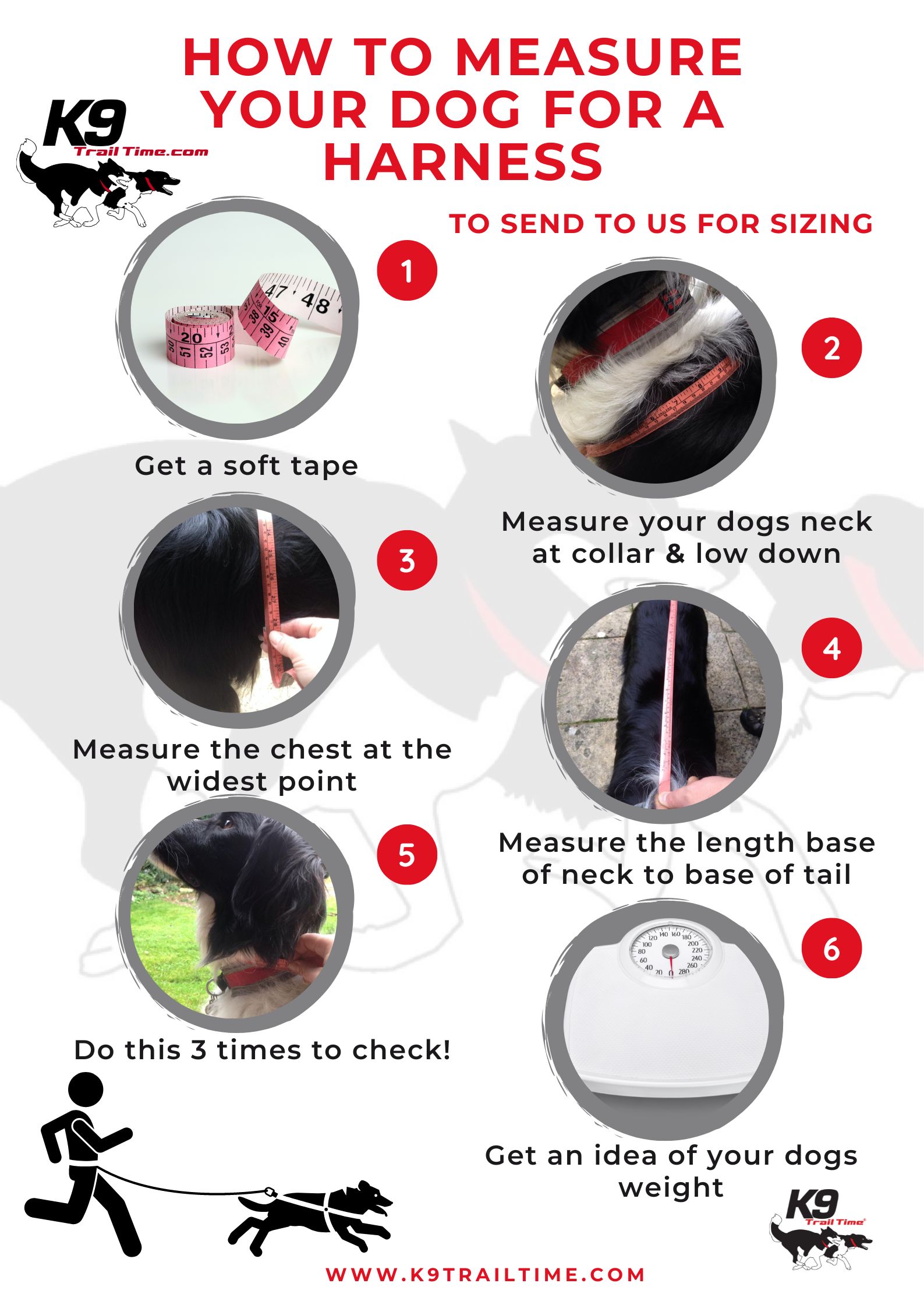 FREE Downloadable Guide To Measuring Your Dog For A Harness