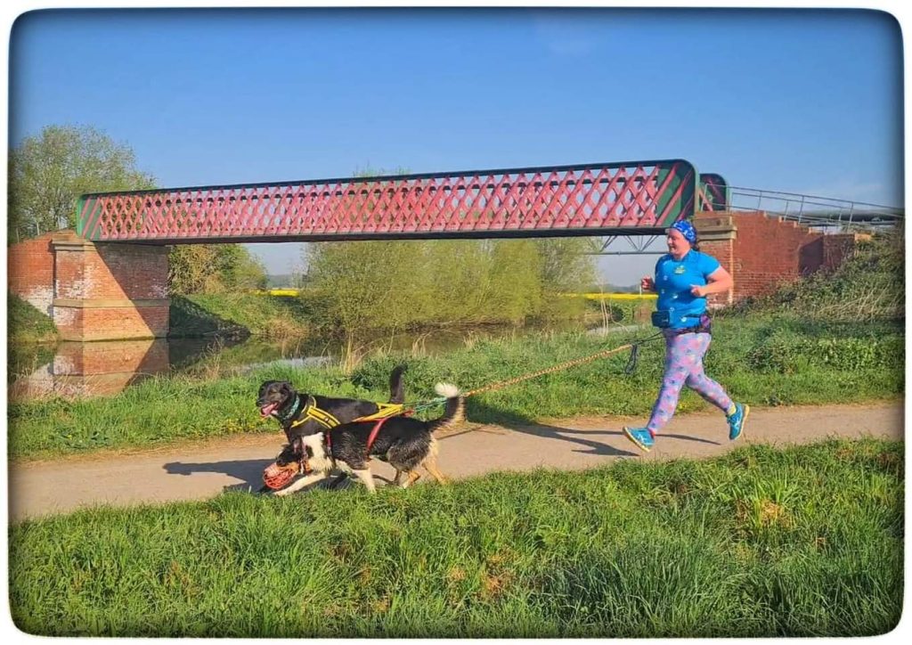 mel trevor running with two dogs attached to her down a canal path with a bridge in the background