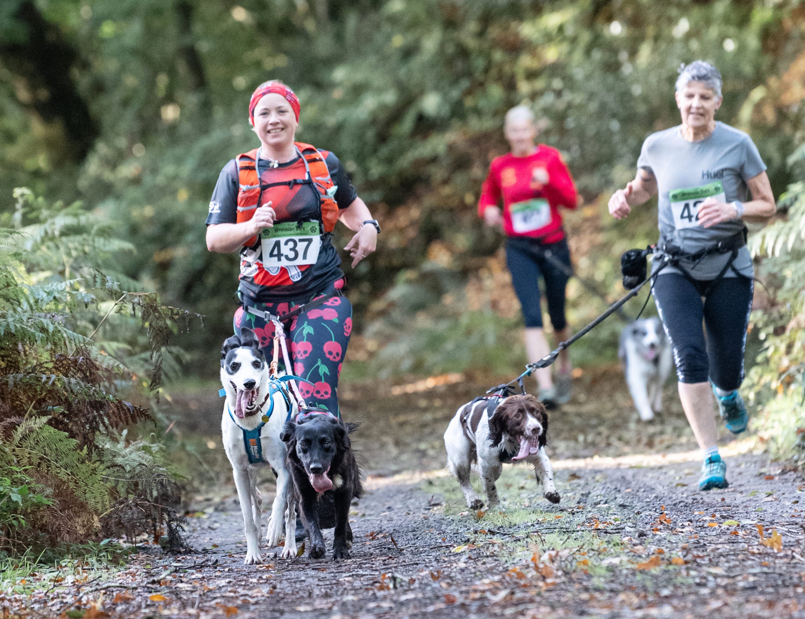 Read more about the article Why you should make canicross your New Year’s resolution