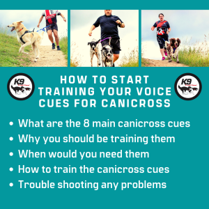 How to Start Training your Cues for Canicross Masterclass (Webinar Recorded February 19th 2023)