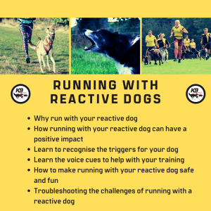 Running with Reactive Dogs Masterclass (Webinar Recorded April 23rd 2023)