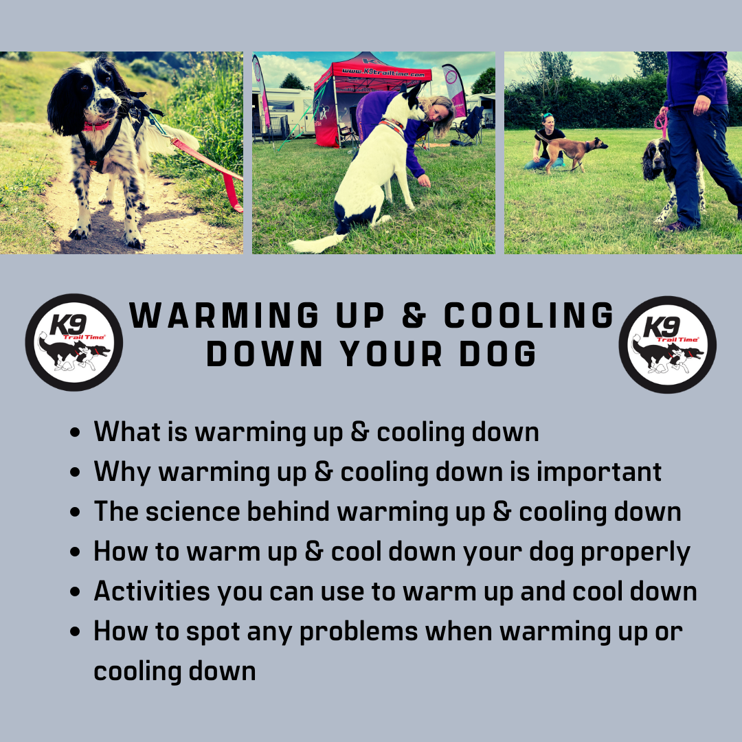 Warming Up and Cooling Down your Dog Masterclass (Webinar Recorded May 28th 2023)