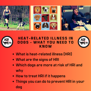Heat-Related Illness in Dogs Masterclass (Webinar Recorded June 26th 2023)