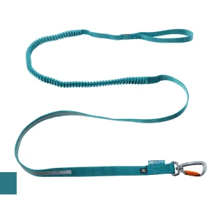 Non-Stop Touring Bungee Lead