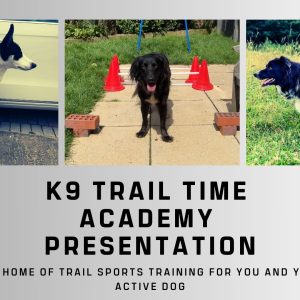 Principles of Canine Conditioning Masterclass (Webinar Recorded November 30th 2023)