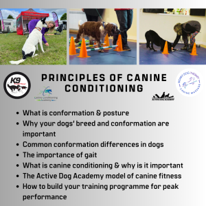 Principles of Canine Conditioning Masterclass (Webinar Recorded November 30th 2023)