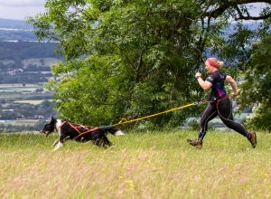 Why canicross isn’t just running with your dog