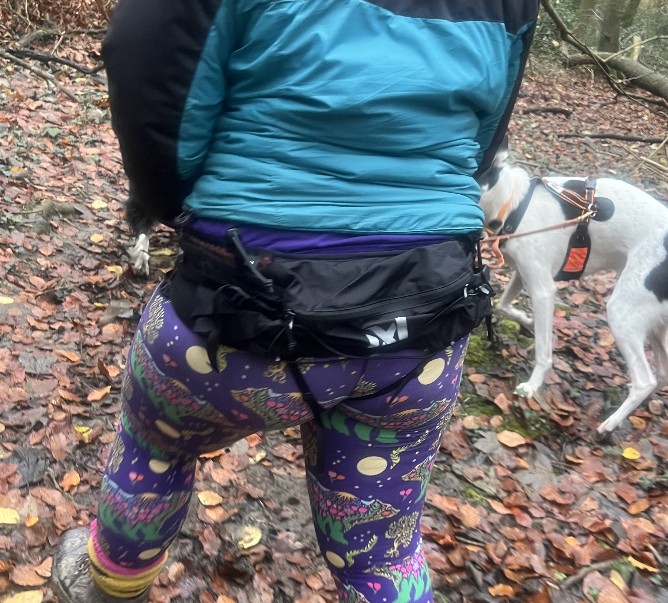 Non-stop Trail Light Belt - Image 4