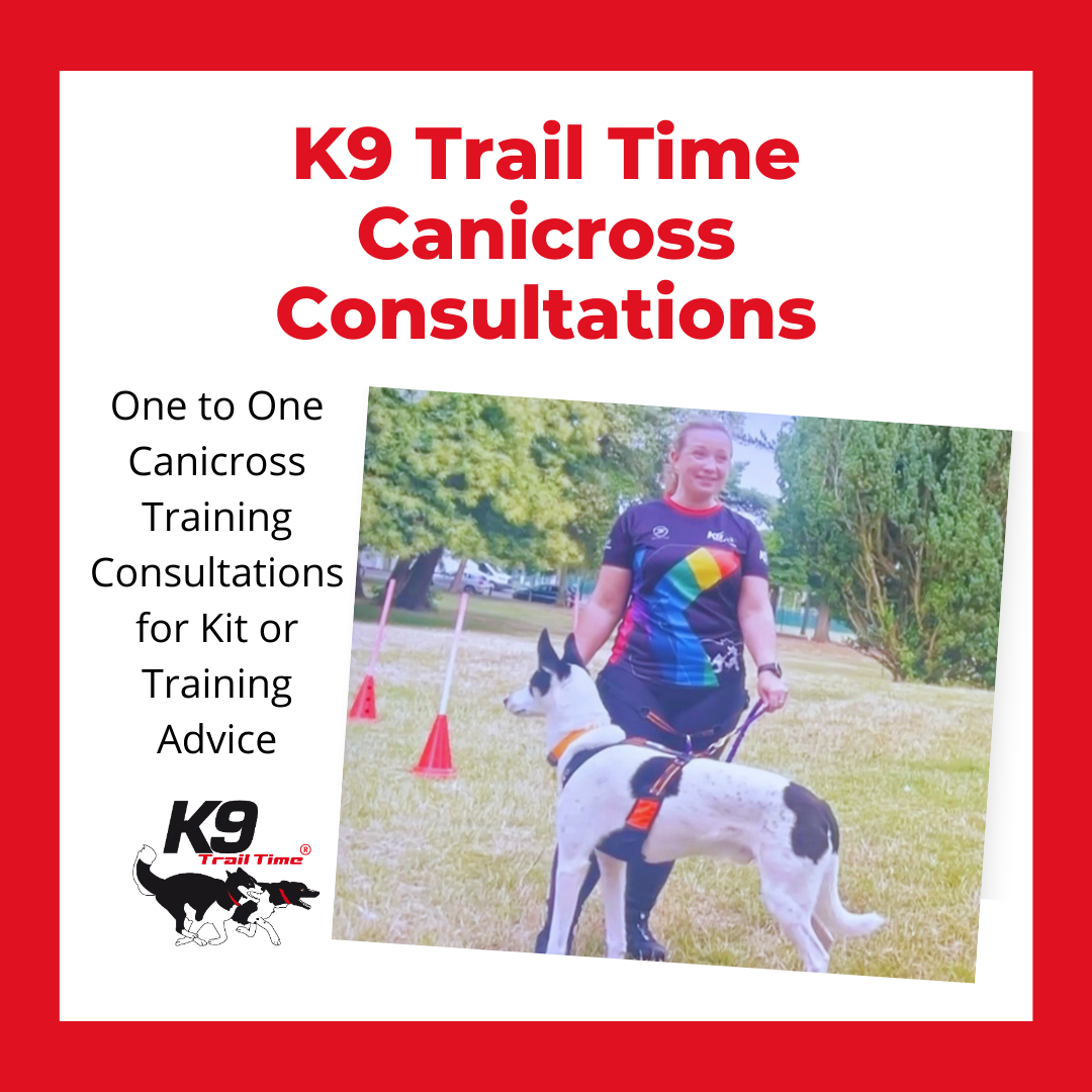 K9 Trail Time Ultimate Canicross Starter Package