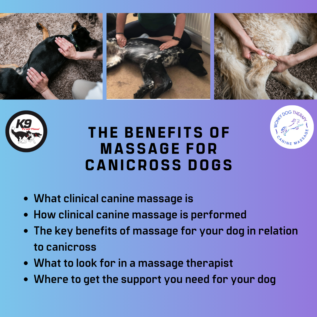 The Benefits of Massage for Canicross Dogs Masterclass (Webinar Recorded February 28th 2024)