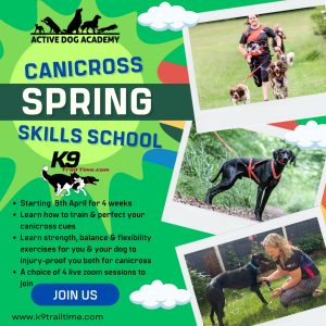 Canicross Spring Skills School Online Course (Starts April 8th 2024)
