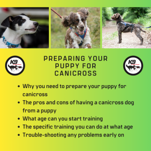 Preparing your Puppy for Canicross Masterclass (Webinar Recorded April 30th 2024)