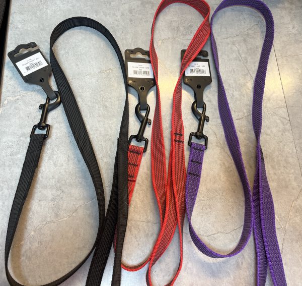 Trail Time Gripper Lead