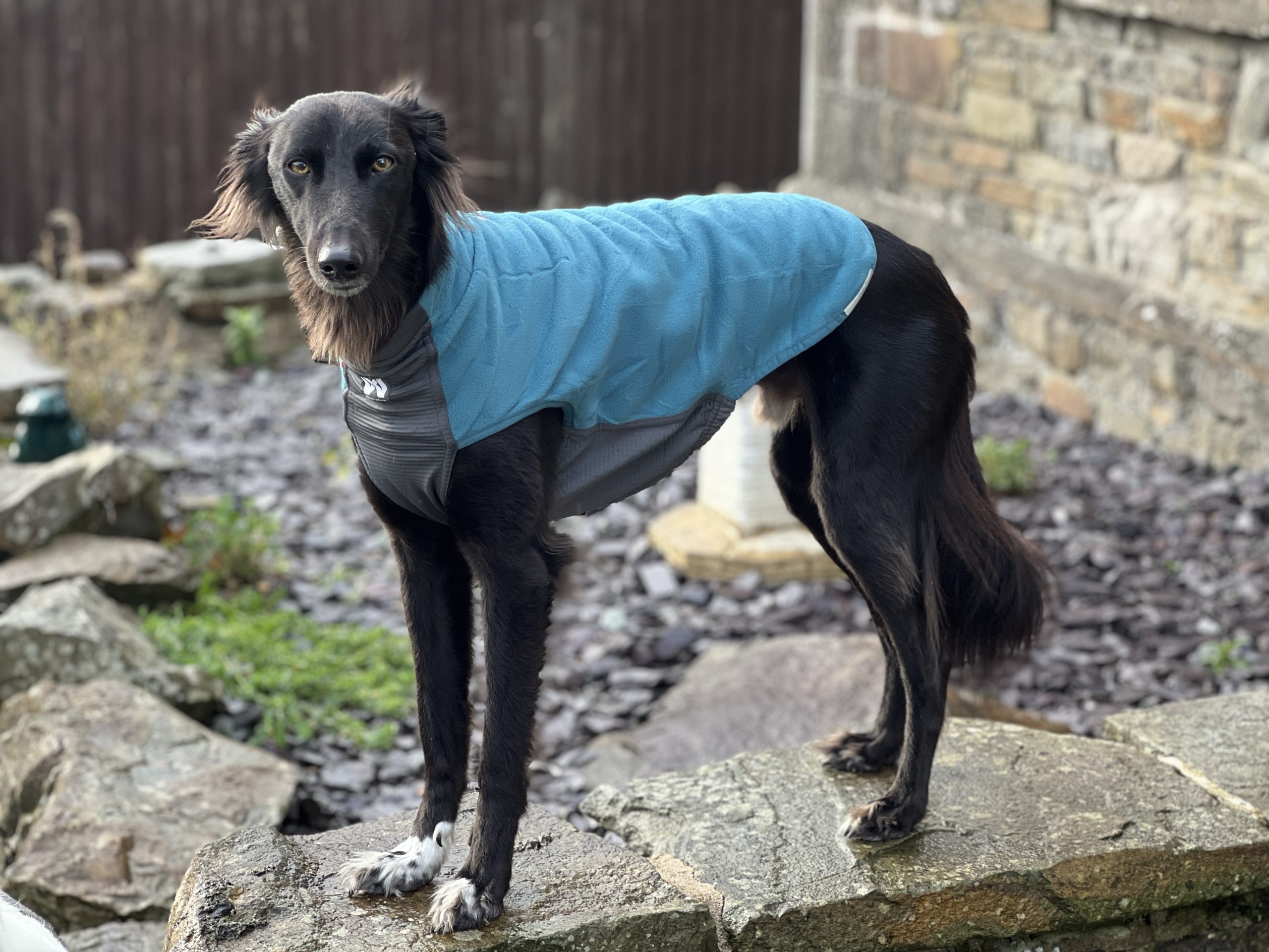 Non-stop Dogwear Trail Quest Fleece Pullover