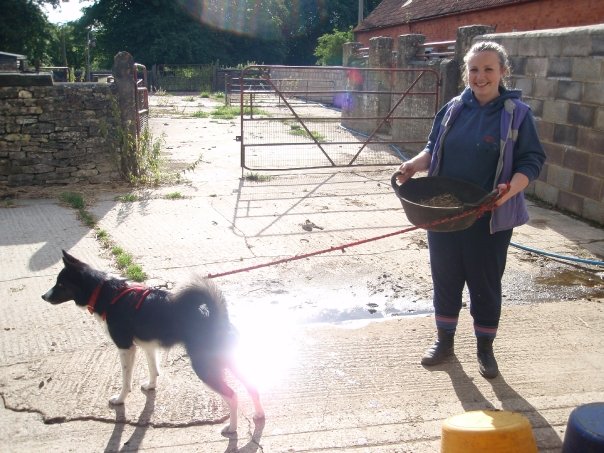A small husky collie cross dog with a woman holding a horse food bowl