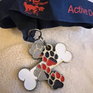 K9 Trail Time February 26 Challenge