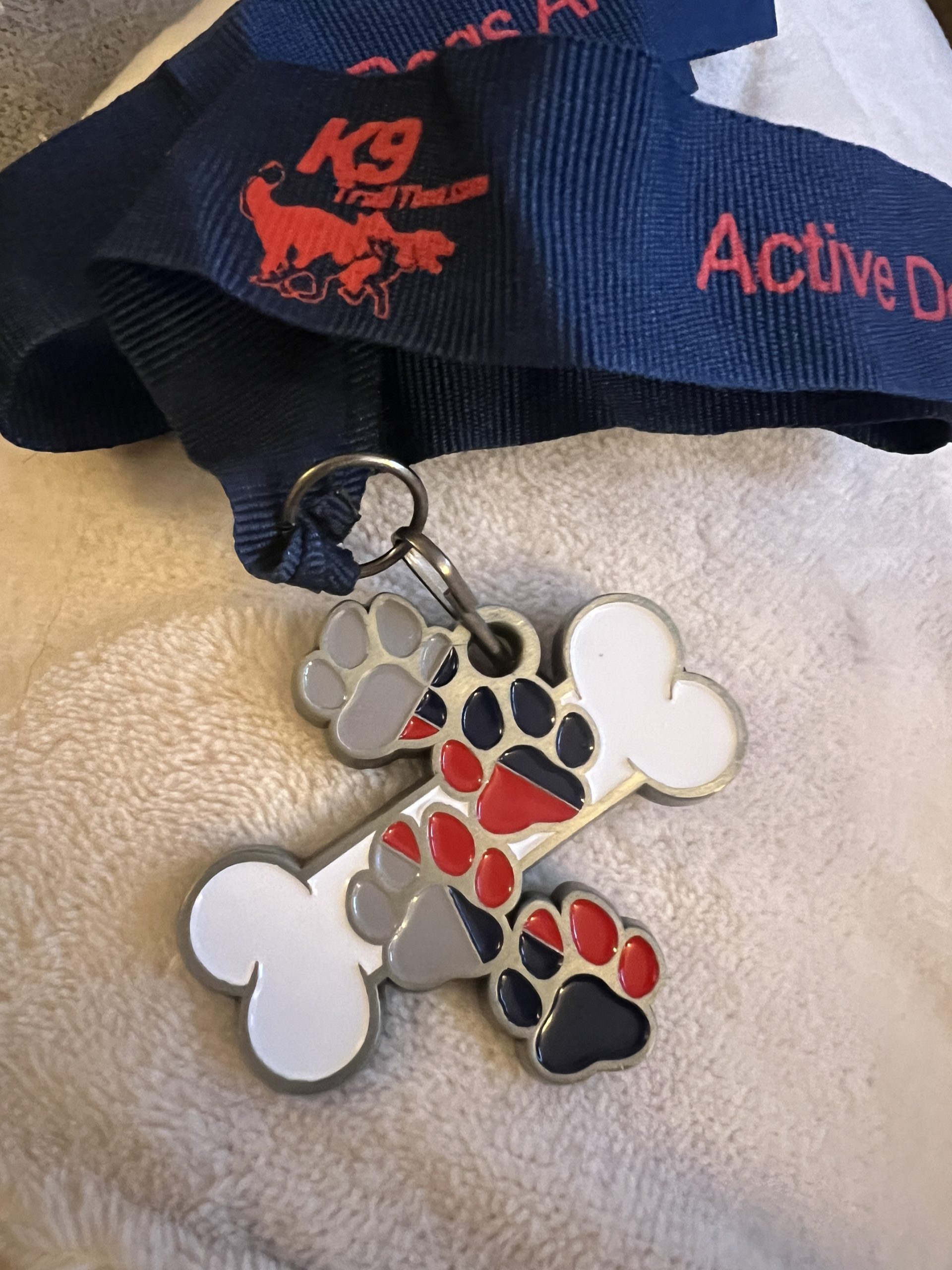 K9 Trail Time February 26 Challenge