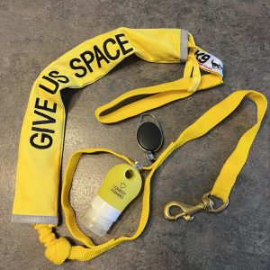 Anxious Dog Walking/Running Bungee Line Set