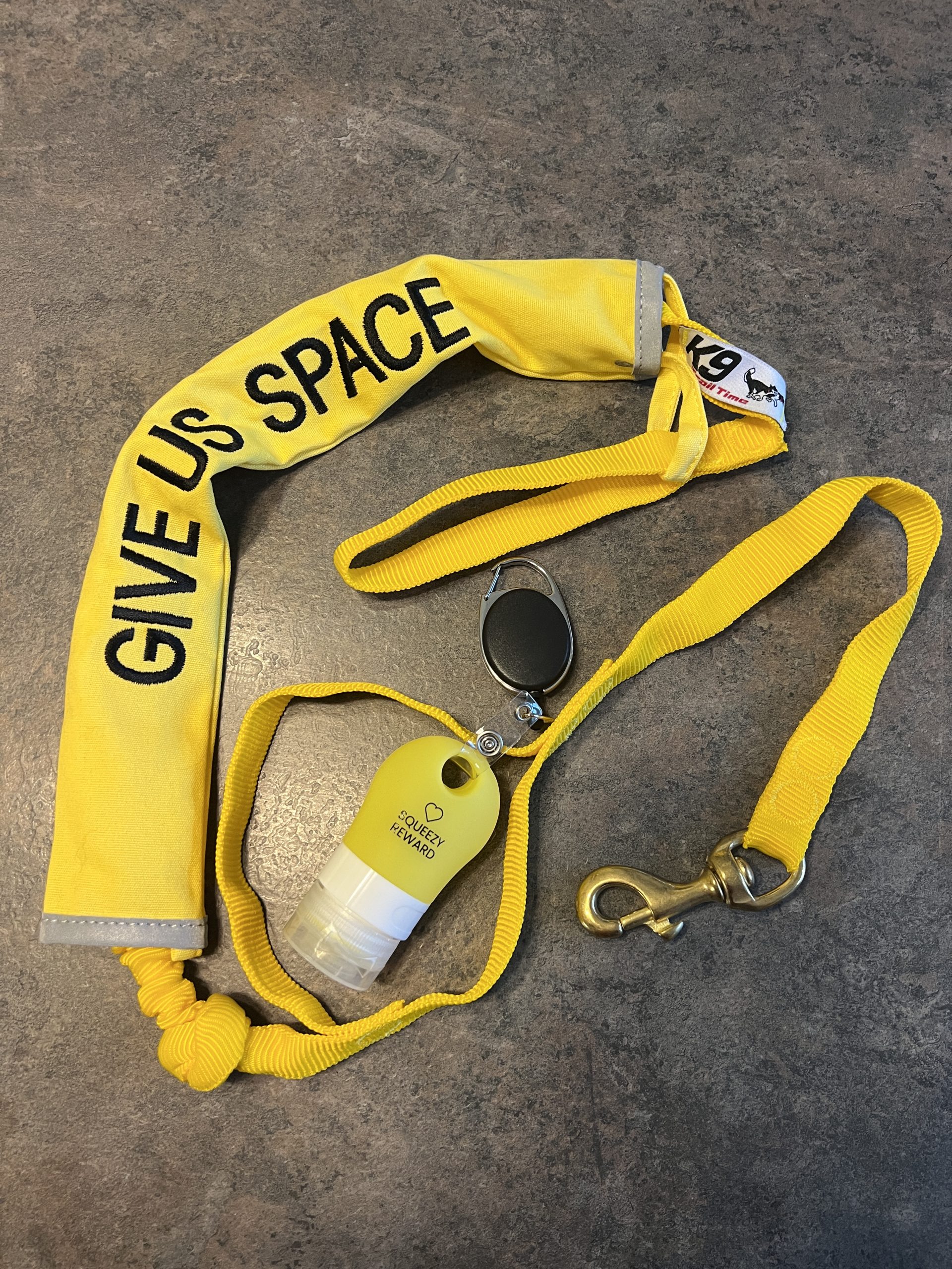 Anxious Dog Walking/Running Bungee Line Set