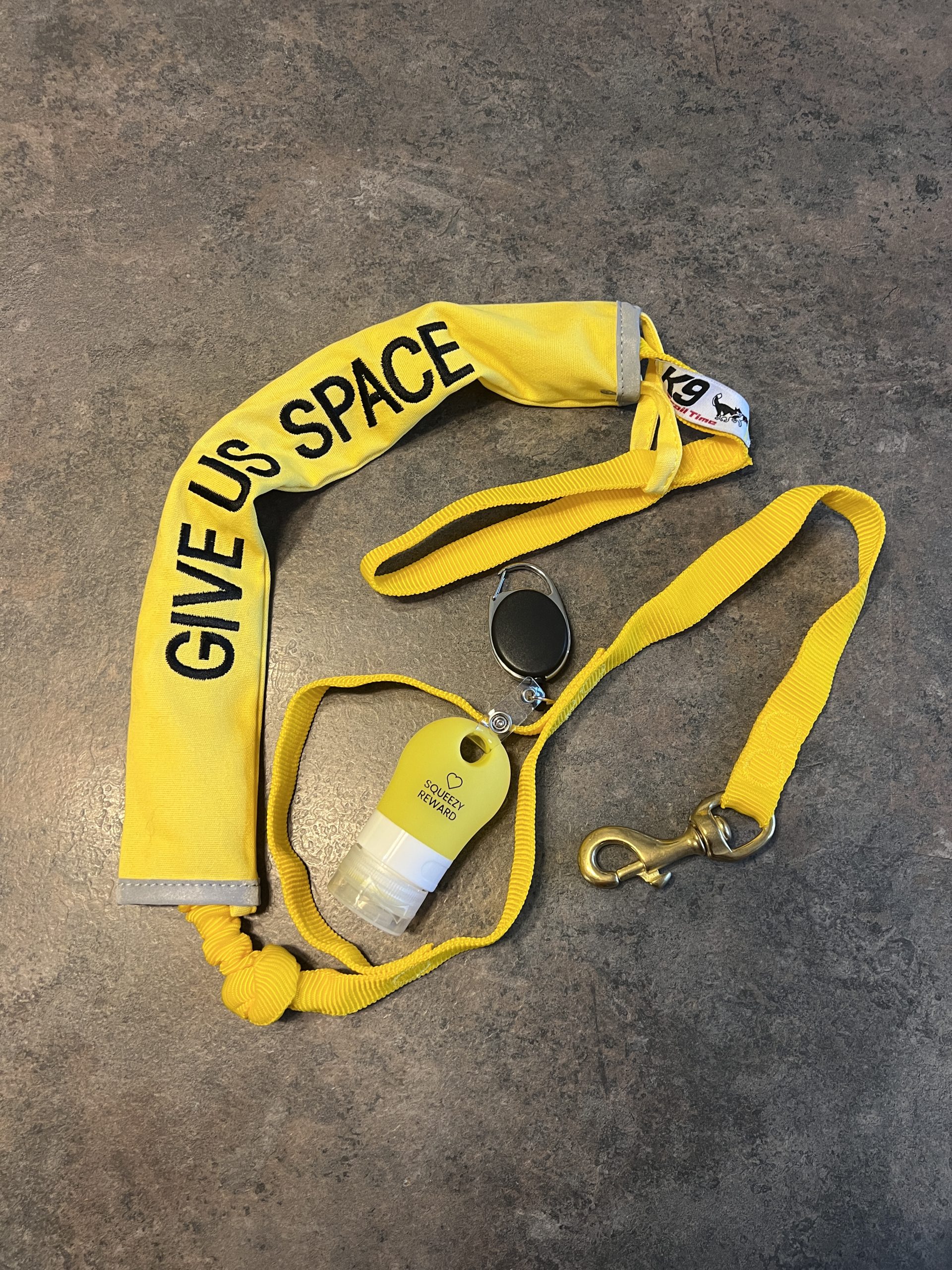 Anxious Dog Walking/Running Bungee Line Set - Image 3