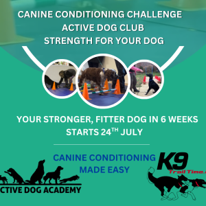 Canine Conditioning Challenge (Starts July 24th 2026)