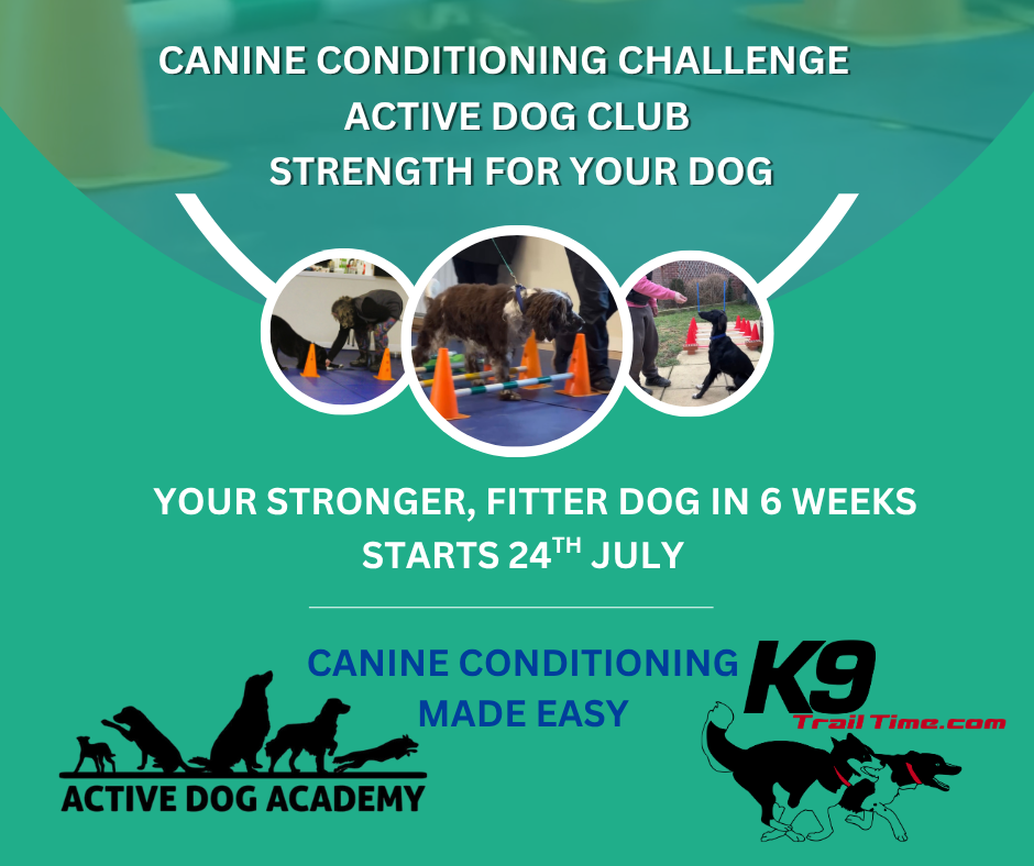 Canine Conditioning Challenge (Starts July 24th 2026)