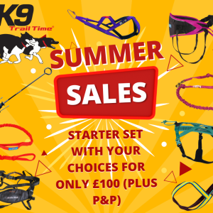 Summer Sales Starter Set