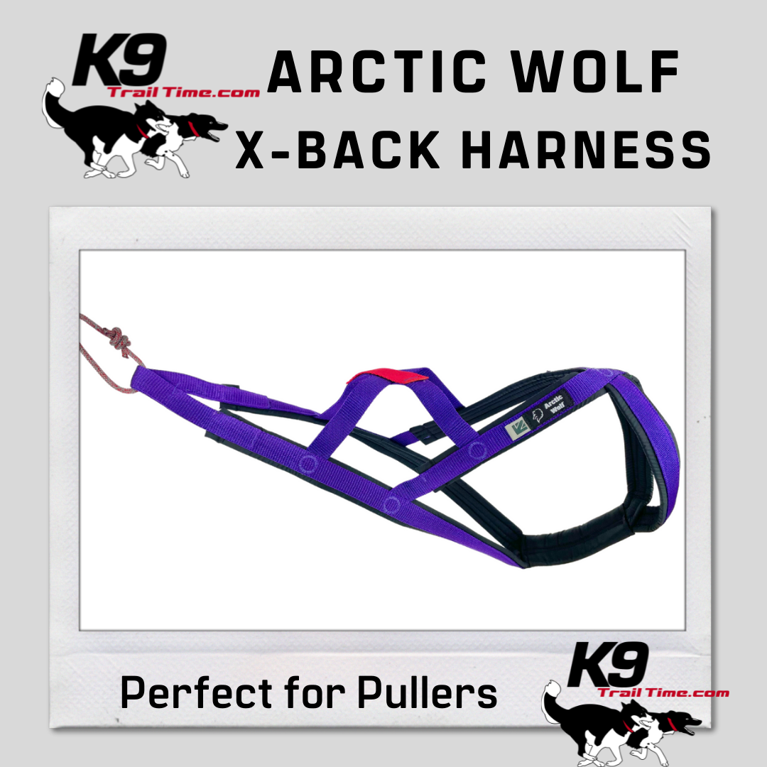 Arctic Wolf X-Back Harness
