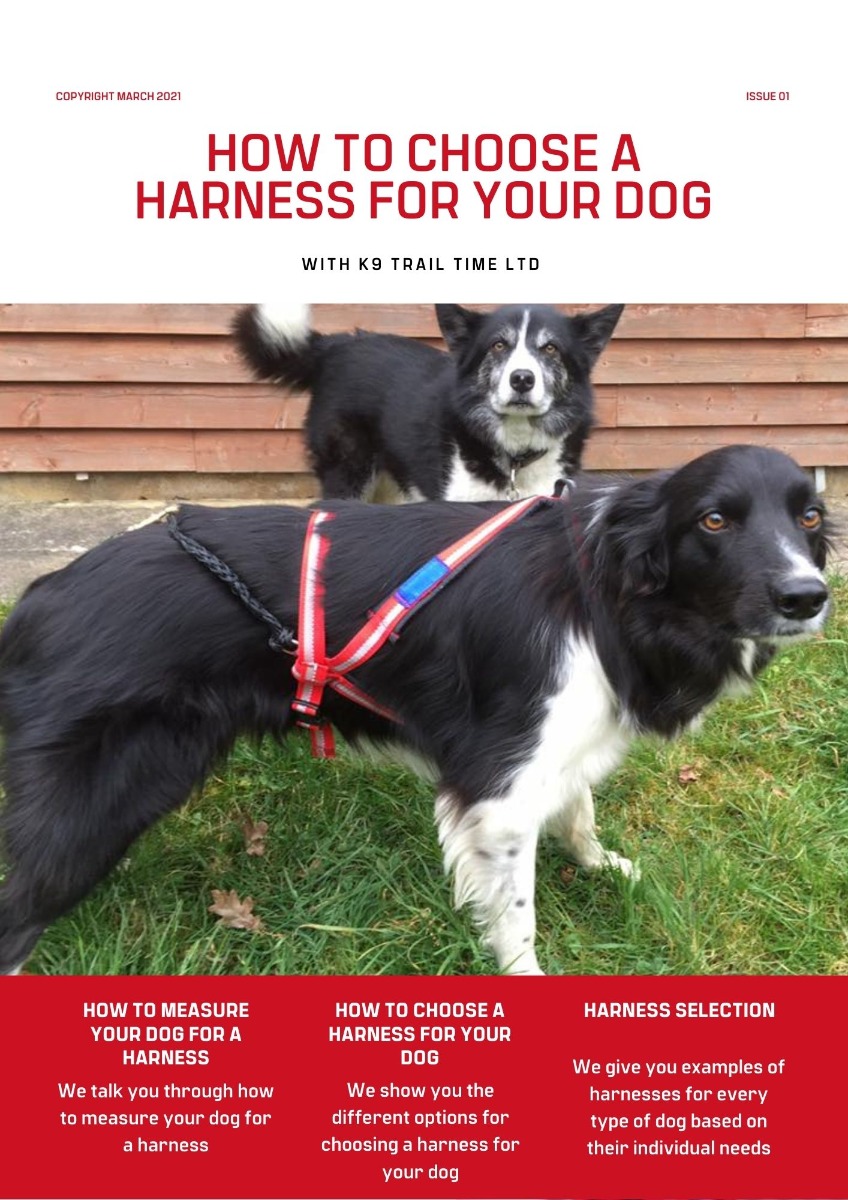 FREE Downloadable How to choose a Dog Sports Harness Guide