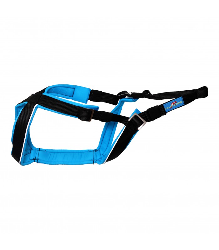 Inlandsis Open-Back Harness (For Small Dogs)