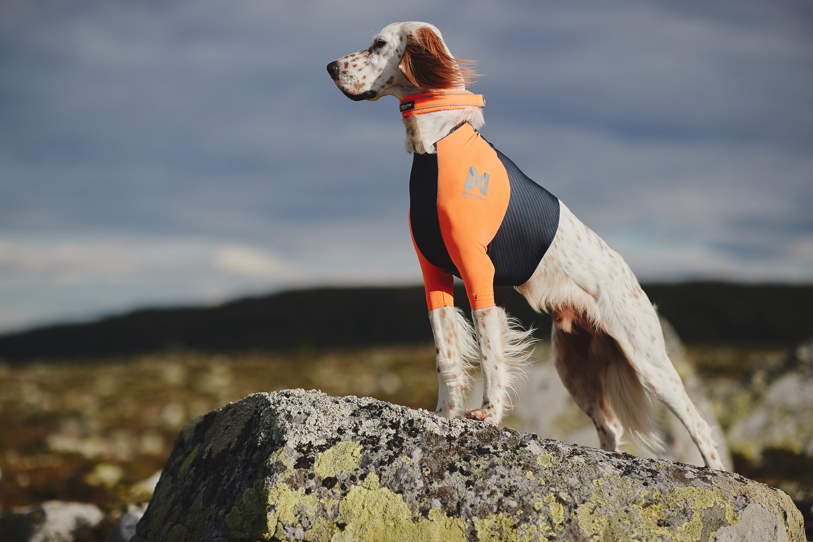 Non-stop 'Protector T-Shirt' A t-shirt for dogs, who need additional protection to take care of the coat and prevent chafing whilst canicrossing and bikejoring