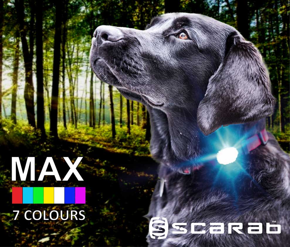 Scarab MAX Safety Beacon (For Dogs, Runners, Walkers & Trekkers) the ultimate safety beacon for your dog 7 LED colours and continuous mode so you always know where your dog is on dark nights early mornings